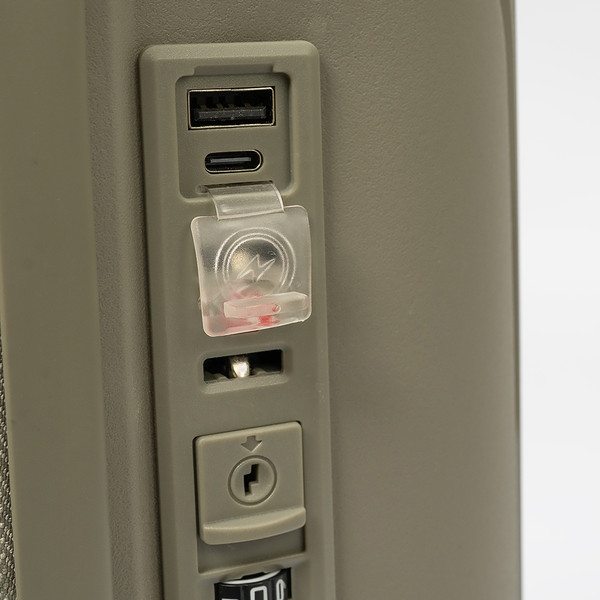 Изображение товара Чемодан на колесах Francesco Molinary 344-8038/3-20GGN (серый/зеленый)