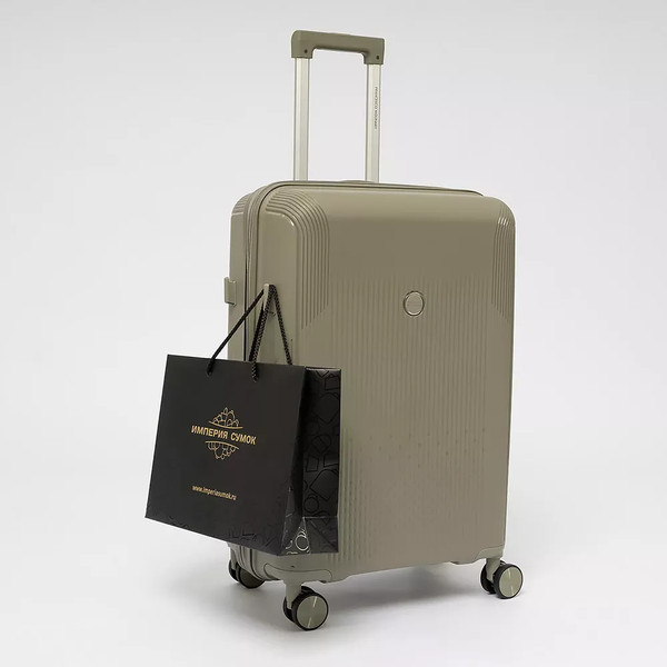 Изображение товара Чемодан на колесах Francesco Molinary 344-8038/3-24GGN (серый/зеленый)