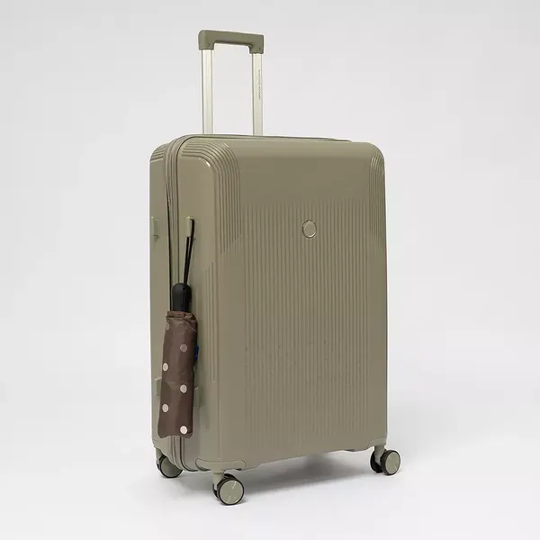 Изображение товара Чемодан на колесах Francesco Molinary 344-8038/3-28GGN (серый/зеленый)