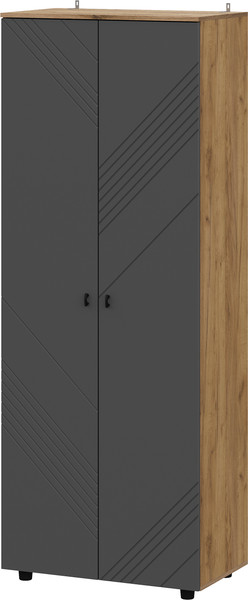 Изображение товара Шкаф Mio Tesoro Байкал двухстворчатый комбинированный (дуб золотистый/графит)