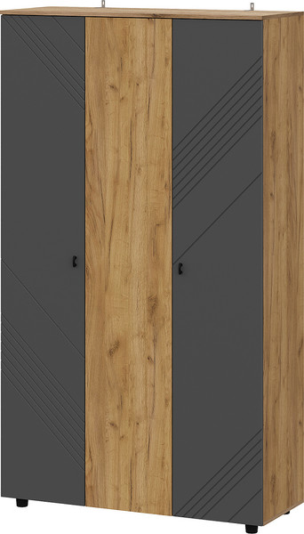 Изображение товара Шкаф Mio Tesoro Байкал трехстворчатый (дуб золотистый/графит)