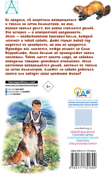 Изображение товара Книга АСТ Лесси, твердая обложка (Найт Эрик)