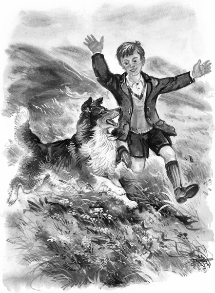 Изображение товара Книга АСТ Лесси, твердая обложка (Найт Эрик)