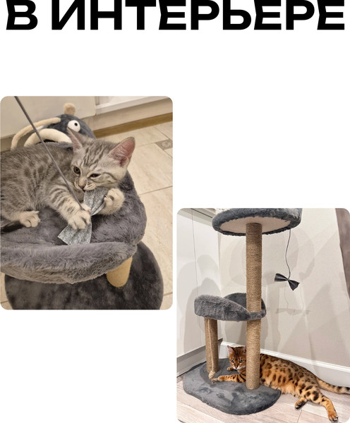 Изображение товара Комплекс для кошек Kogtik Дримми СД m (серый/джут)