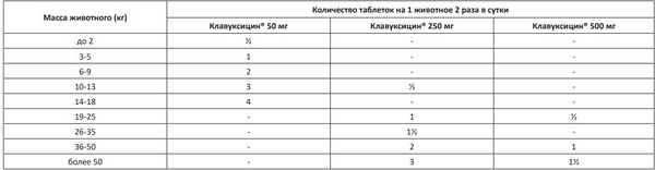 Изображение товара Таблетки антибактериальные для животных Doctor VIC Клавуксицин 250мг Для кошек и собак (12 таблеток)