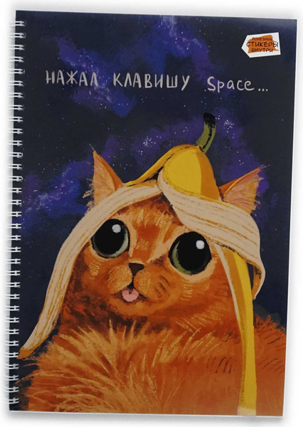 Изображение товара Тетрадь Listoff Space / ТС2Л4805307 (80л)