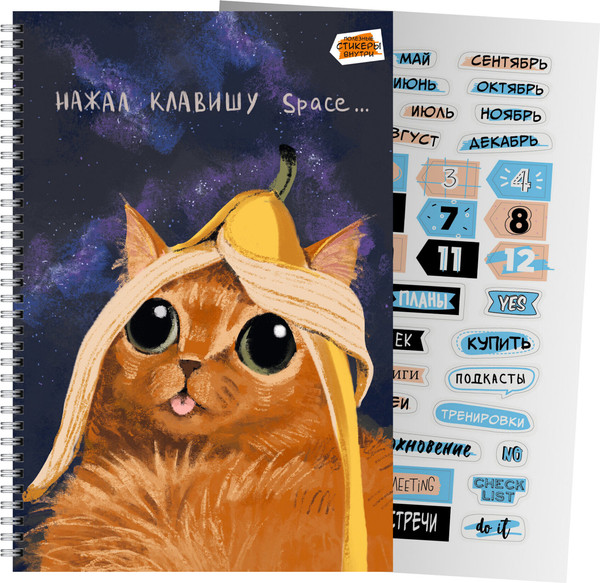 Изображение товара Тетрадь Listoff Space / ТС2Л4805307 (80л)