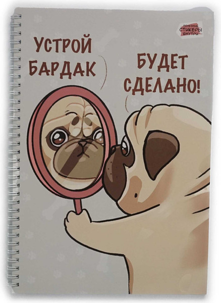 Изображение товара Тетрадь Listoff Баловень / ТС2Л4805308 (80л)