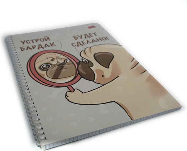 Изображение товара Тетрадь Listoff Баловень / ТС2Л4805308 (80л)