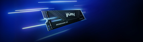 Изображение товара SSD диск Kingston Fury Renegade G5 1TB (SFYR2S/1T0)