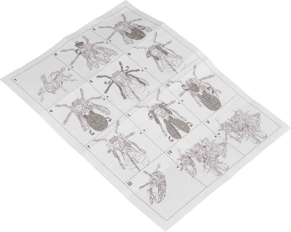 Изображение товара Робот-трансформер Bondibon Bondibot / ВВ6567