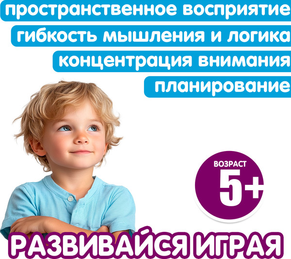 Изображение товара Игра-головоломка Bondibon Блок-задача / ВВ6591