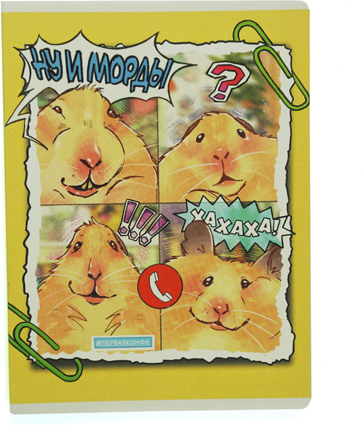 Изображение товара Тетрадь Listoff Ну и морды / ТЛ4605257 (60л)