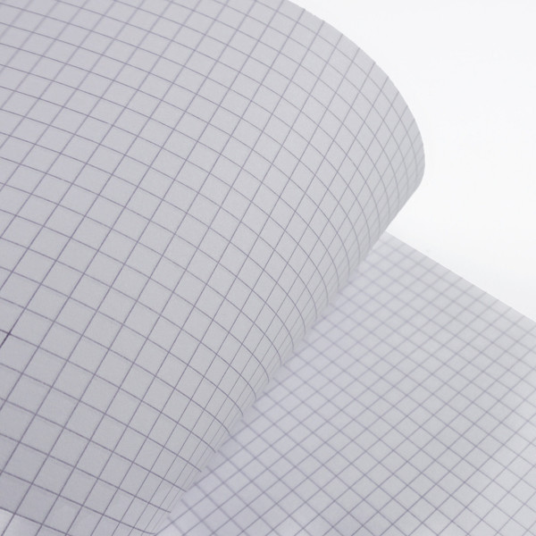 Изображение товара Тетрадь Listoff Привет, я Моль! / ТСЛ4965316 (96л)