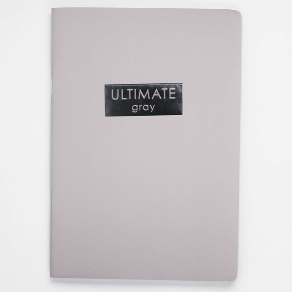 Изображение товара Тетрадь Listoff Ultimate Gray / ТФ4485326 (48л)