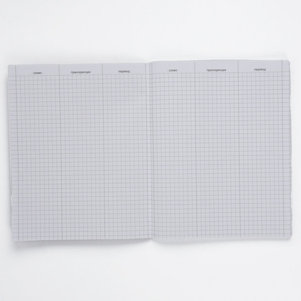 Изображение товара Тетрадь предметная Listoff Hello! Для записи иностранных слов / ТИС54897 (48л)