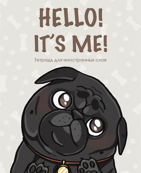 Изображение товара Тетрадь предметная Listoff Hello! Для записи иностранных слов / ТИС54897 (48л)