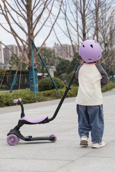 Изображение товара Самокат детский QPlay Sema Evo / ST-005 (Purple)