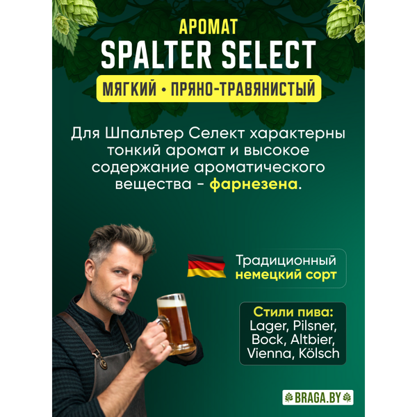 Изображение товара Хмель BRAGA.BY Шпатлер Селект (50г)