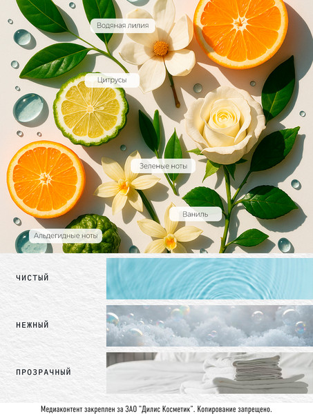 Изображение товара Парфюмерная вода Dilis Niche Collection Pure Touch (50мл)