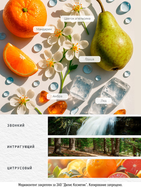 Изображение товара Парфюмерная вода Dilis Niche Collection Azure Stone (50мл)