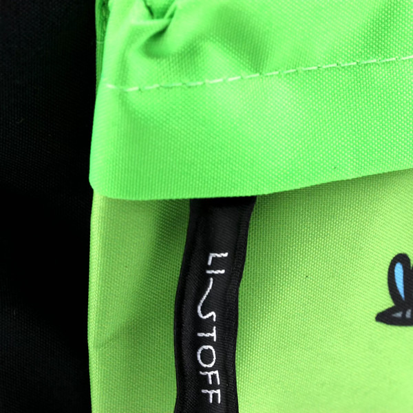 Изображение товара Школьный рюкзак Listoff Какой лягух ты сегодня? / РК0341