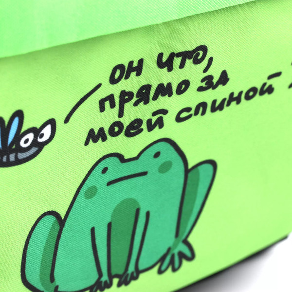 Изображение товара Школьный рюкзак Listoff Какой лягух ты сегодня? / РК0341