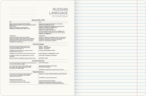 Изображение товара Тетрадь предметная Brauberg Даты. Русский язык / 405131 (48л)