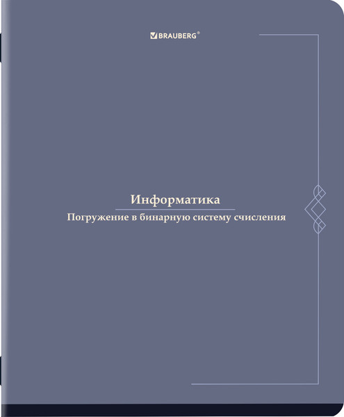 Изображение товара Тетрадь предметная Brauberg Vintage. Информатика / 405154 (48л)