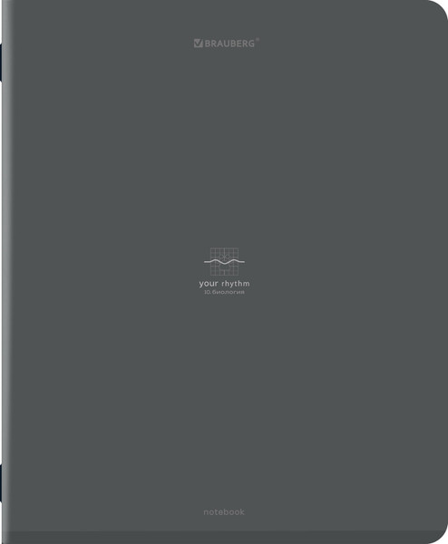 Изображение товара Набор предметных тетрадей Brauberg Ритм / 405181 (12шт)
