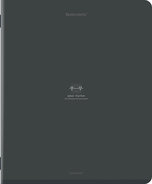 Изображение товара Набор предметных тетрадей Brauberg Ритм / 405181 (12шт)