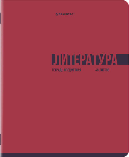 Изображение товара Набор предметных тетрадей Brauberg Vibe / 405163 (12шт)