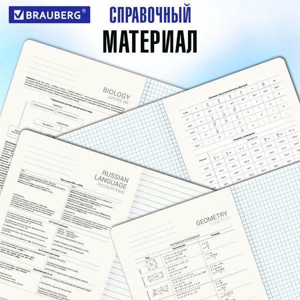 Изображение товара Набор предметных тетрадей Brauberg Vibe / 405163 (12шт)