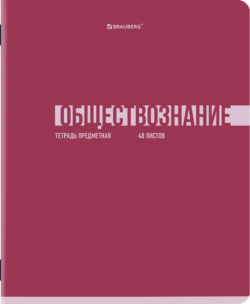 Изображение товара Набор предметных тетрадей Brauberg Vibe / 405163 (12шт)