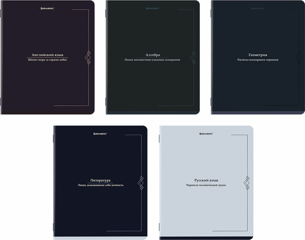 Изображение товара Набор предметных тетрадей Brauberg Vintage / 405188 (5шт)