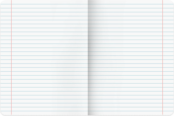 Изображение товара Набор предметных тетрадей Brauberg Classic / 405186 (5шт)