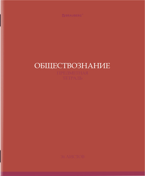 Изображение товара Тетрадь предметная Brauberg Колор. Обществознание / 405070 (36л)