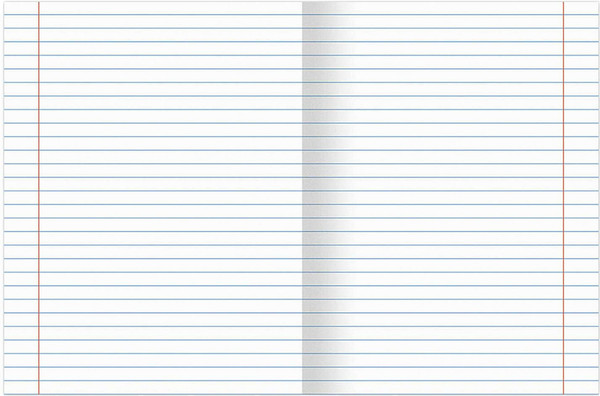 Изображение товара Тетрадь предметная Brauberg Колор. Литература / 405077 (36л)