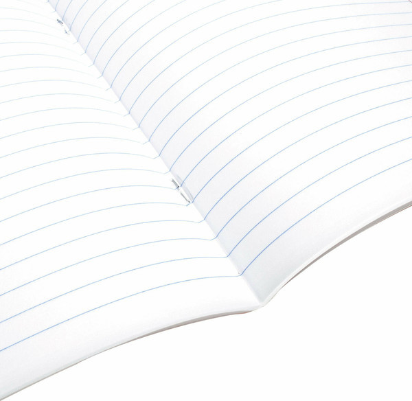 Изображение товара Тетрадь предметная Brauberg Колор. Литература / 405077 (36л)