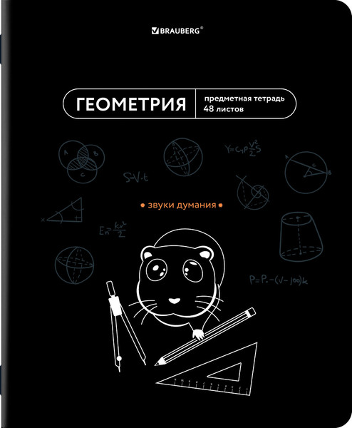 Изображение товара Тетрадь предметная Brauberg Мемы. Геометрия / 405101 (48л)