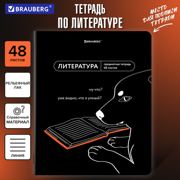 Изображение товара Тетрадь предметная Brauberg Мемы. Литература / 405104 (48л)