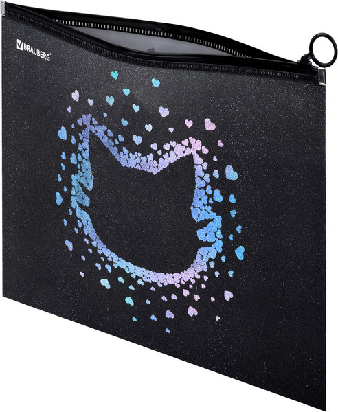 Изображение товара Папка для тетрадей Brauberg Pretty Face / 273319