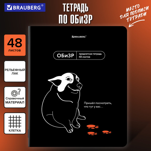 Изображение товара Тетрадь предметная Brauberg Мемы. ОБизР / 405108 (48л)