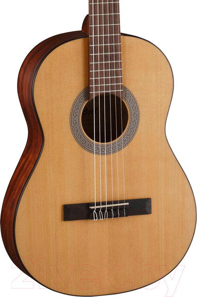 Изображение товара Акустическая гитара Cort AC-70 OP