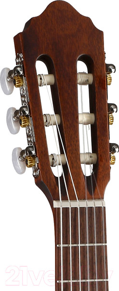 Изображение товара Акустическая гитара Cort AC-70 OP