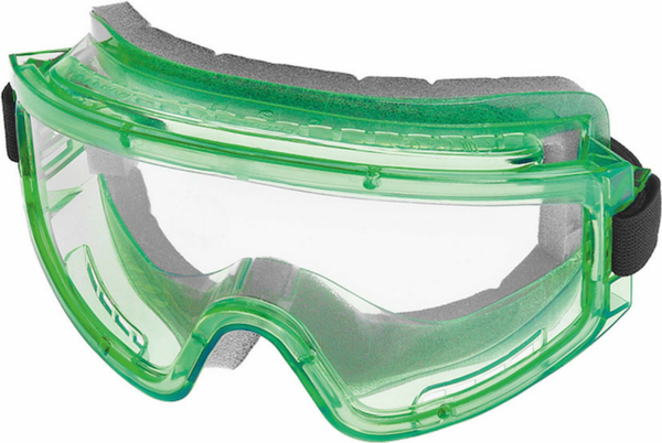 Изображение товара Защитные очки РОСОМЗ ЗН11 Panorama / 24111