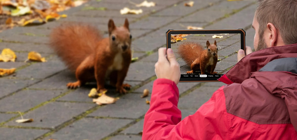 Изображение товара Планшет Blackview Active 10 Pro 5G 12GB/512GB / BVACTIVE10_PRO-B (черный)