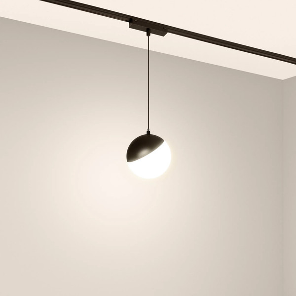 Изображение товара Трековый светильник Arlight MAG-VIBE-EMISFERO-HANG-R100-6W Day4000-MIX BK / 044815