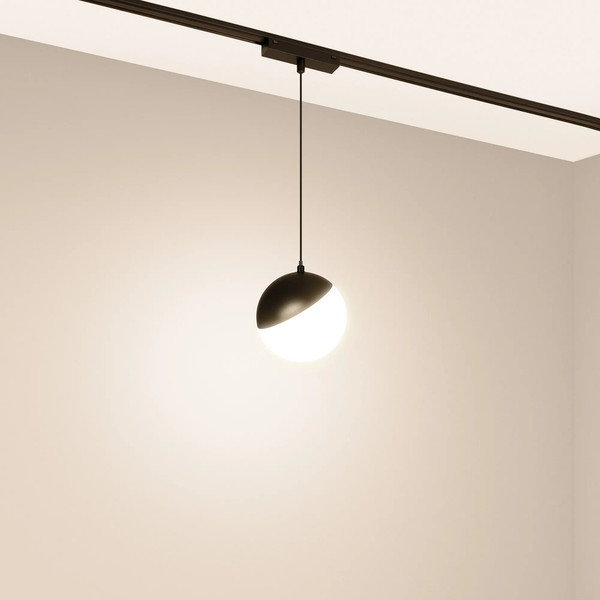 Изображение товара Трековый светильник Arlight MAG-VIBE-EMISFERO-HANG-R100-6W Day4000-MIX BK / 044815