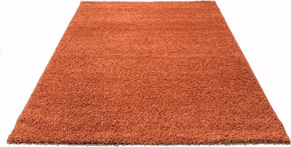 Изображение товара Коврик Moldabela Shaggy Geko Прямоугольник 1039 1 30933 (1.33x1.7)